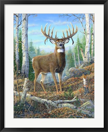 Framed Dream Buck Print