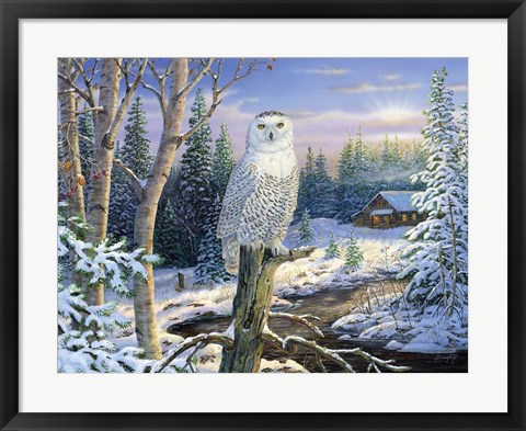 Framed Whispering Ridge Snowy Owl Print