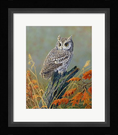 Framed Bright Eyes Screech Owl Print