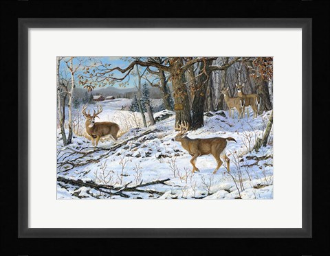 Framed No Trespassing Print