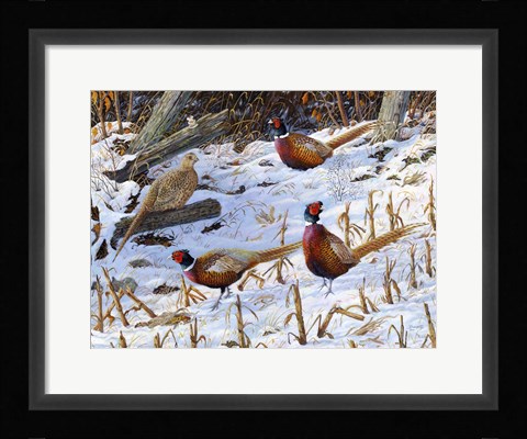 Framed Ringneck Rendezvous Print