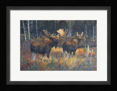 Framed Distant Call Print