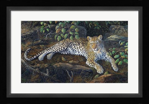 Framed In The Shadows Print