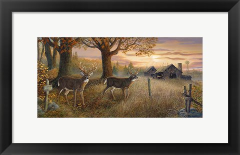 Framed Unknown Sanctuary Print