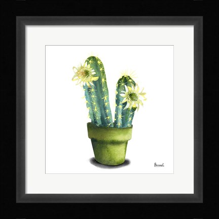 Framed Cactus Flowers II Print