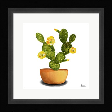 Framed Cactus Flowers III Print