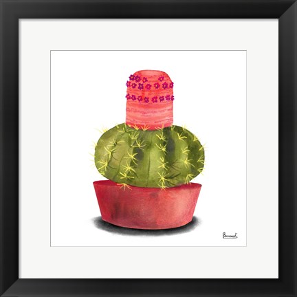 Framed Cactus Flowers IV Print