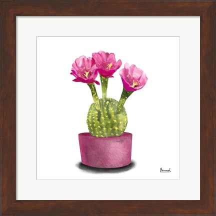 Framed Cactus Flowers V Print