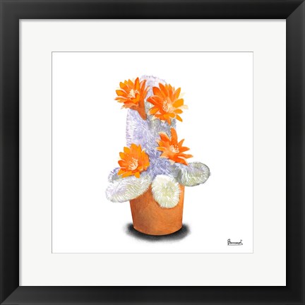 Framed Cactus Flowers VI Print