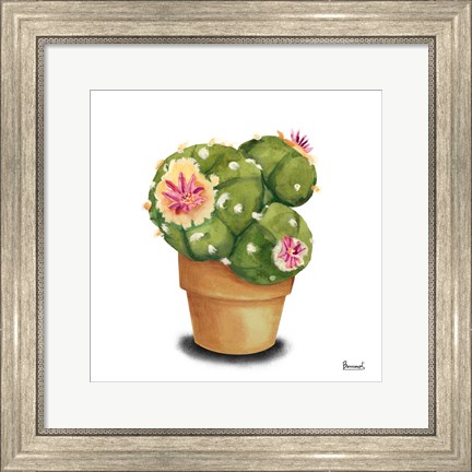 Framed Cactus Flowers VII Print