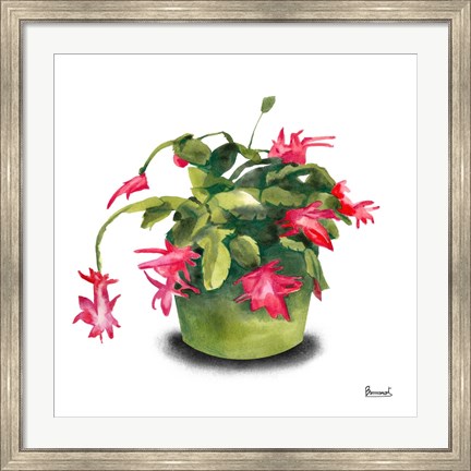 Framed Cactus Flowers VIII Print