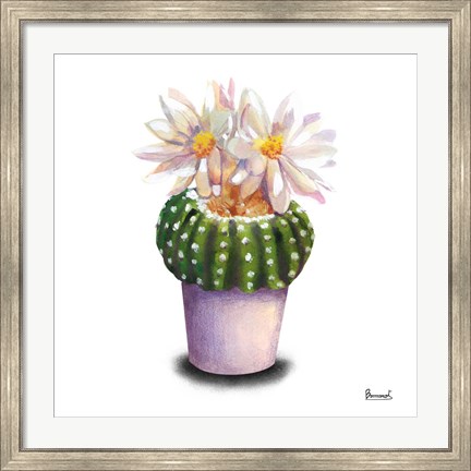 Framed Cactus Flowers IX Print