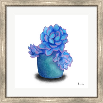Framed Turquoise Succulents I Print