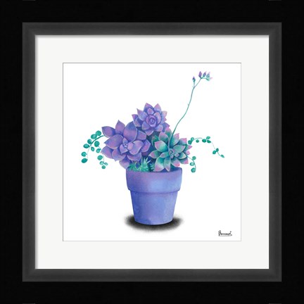 Framed Turquoise Succulents II Print