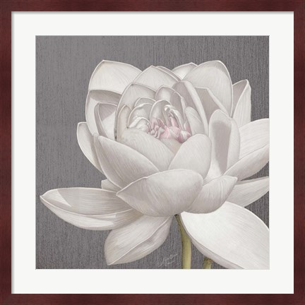 Framed Vintage Lotus on Grey II Print