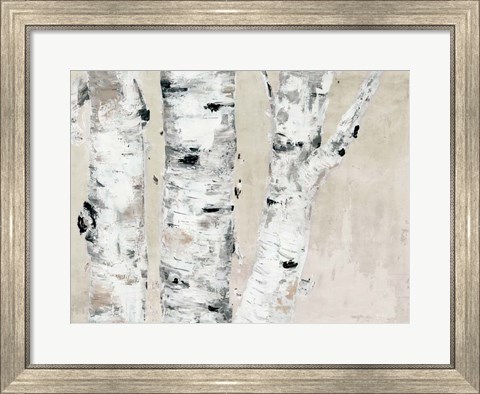Framed Birch Tree Close Up Neutral Print