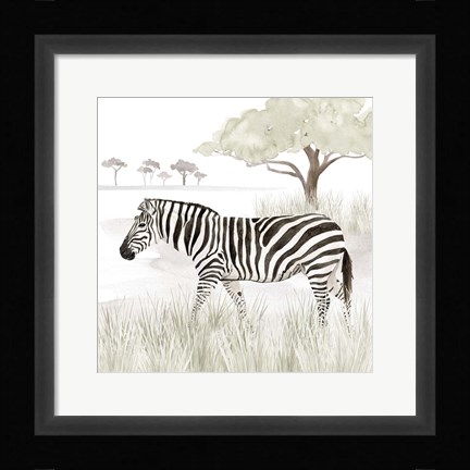 Framed Serengeti Zebra Square Print