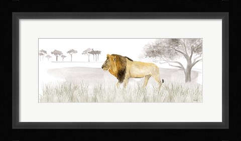 Framed Serengeti Lion horizontal panel Print