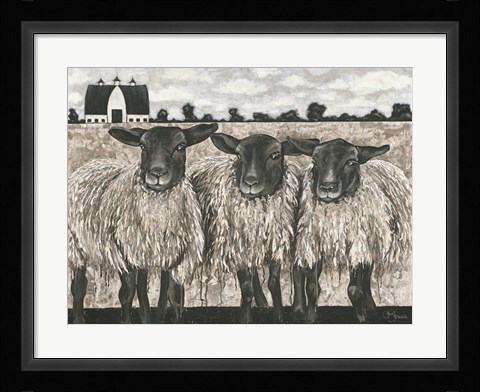 Framed Three Sheep Print