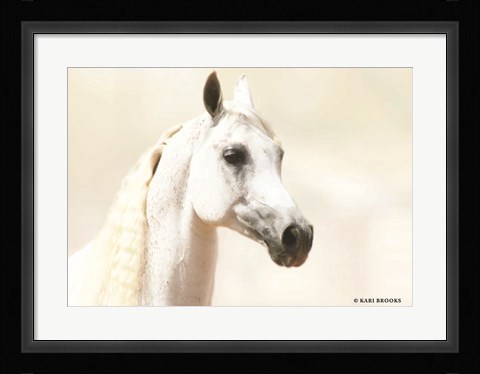 Framed Aloof Print