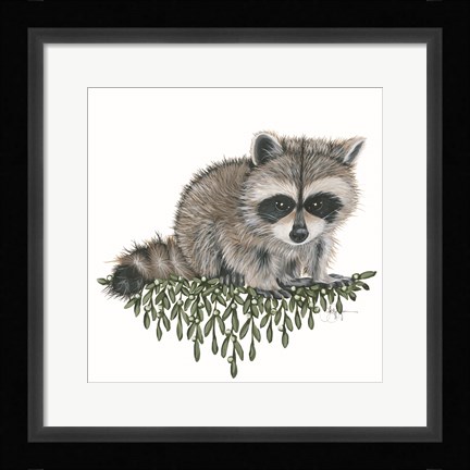 Framed Baby Raccoon Print