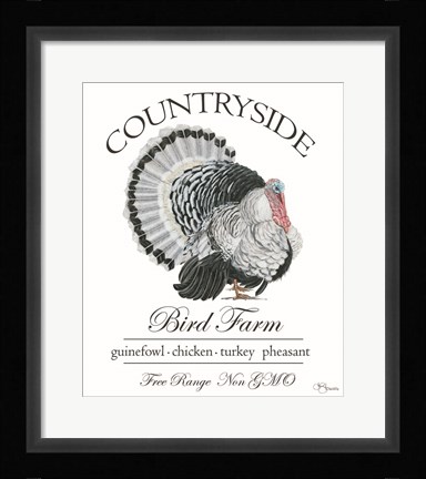 Framed Bird Farm Print