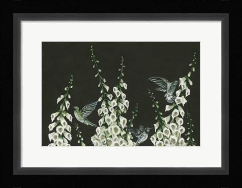 Framed Hummingbirds Print