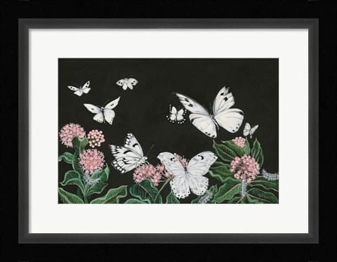 Framed Butterflies Print