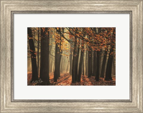 Framed Bunch of Trees Print