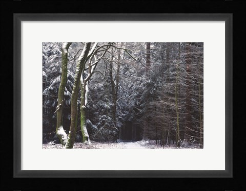 Framed Gate to the Dark World Print