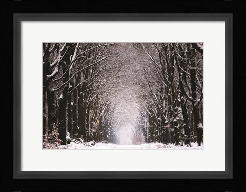 Framed Winter Tunnel Print