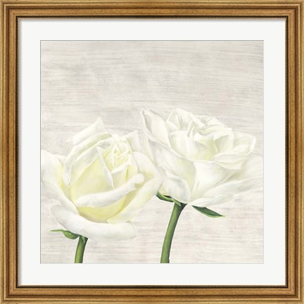 Framed Classic Roses II Print