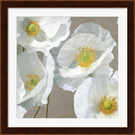 Framed Poppies on Taupe I Print