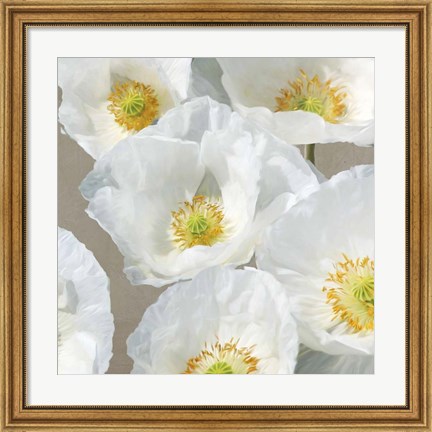 Framed Poppies on Taupe II Print