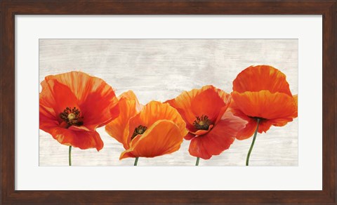 Framed Bright Poppies Print
