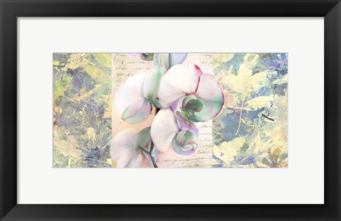 Framed Kaleidoscope Orchid Print
