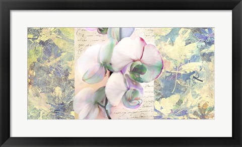 Framed Kaleidoscope Orchid Print