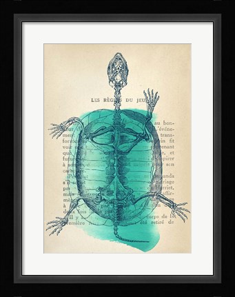 Framed Memories of the Wild I Print