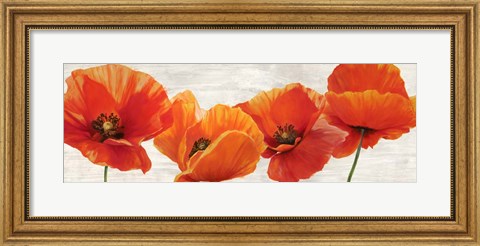 Framed Bright Poppies Print
