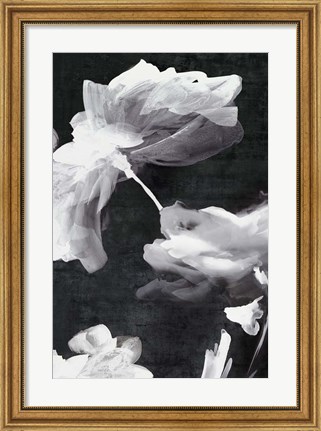 Framed Dark Beauty II Print
