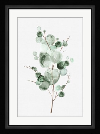 Framed Tender Sprout I Print