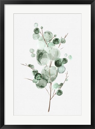 Framed Tender Sprout I Print