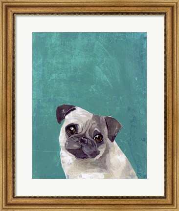 Framed Pug Puppy Print