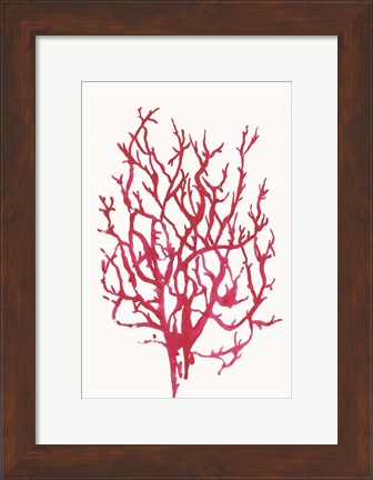 Framed Red Reef Coral I Print