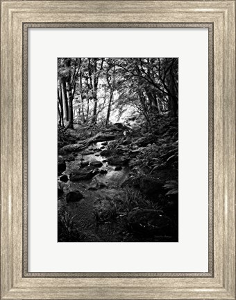 Framed Lush Creek in Forest BW Print