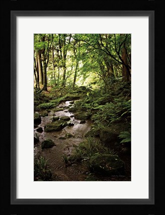 Framed Lush Creek in Forest Print
