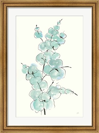 Framed Eucalyptus Branch IV Print
