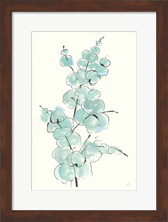 Framed Eucalyptus Branch IV Print