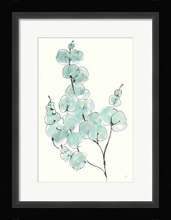 Framed Eucalyptus Branch III Print