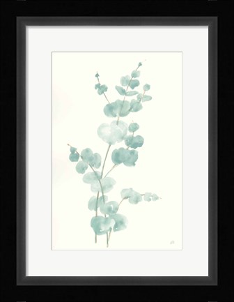 Framed Eucalyptus Branch II Print